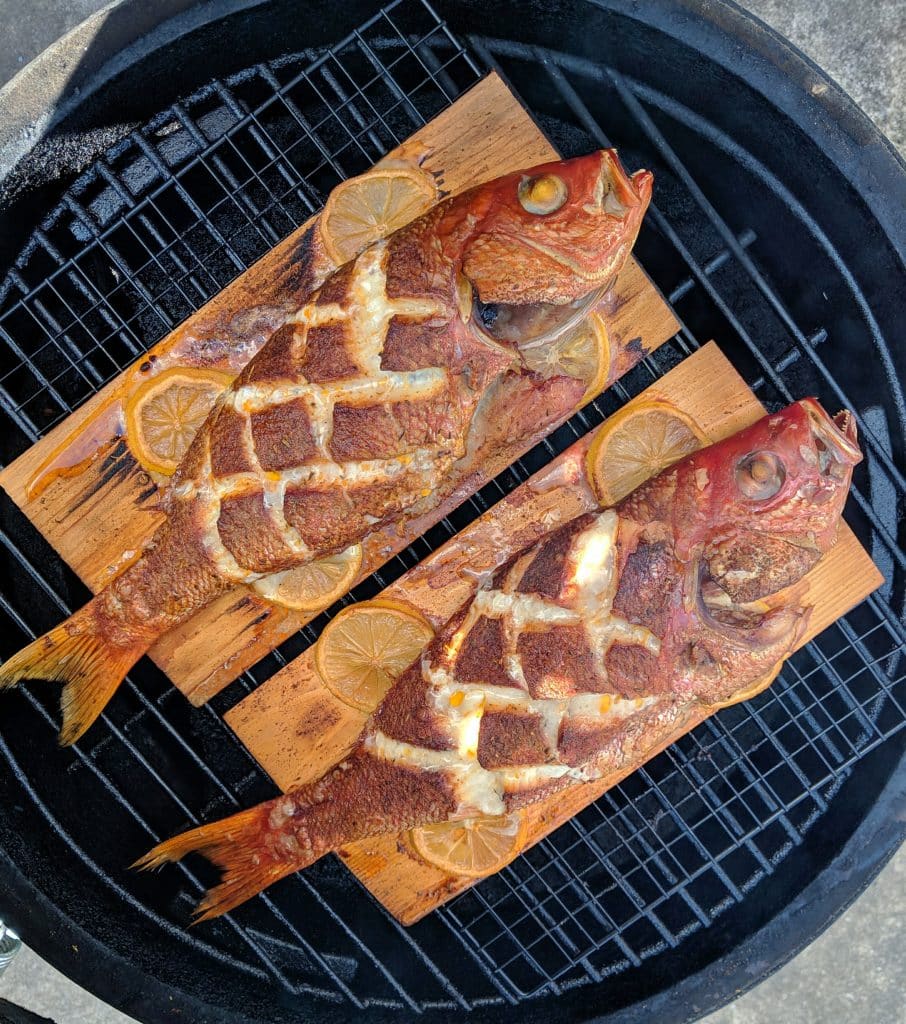 fish on the big green egg