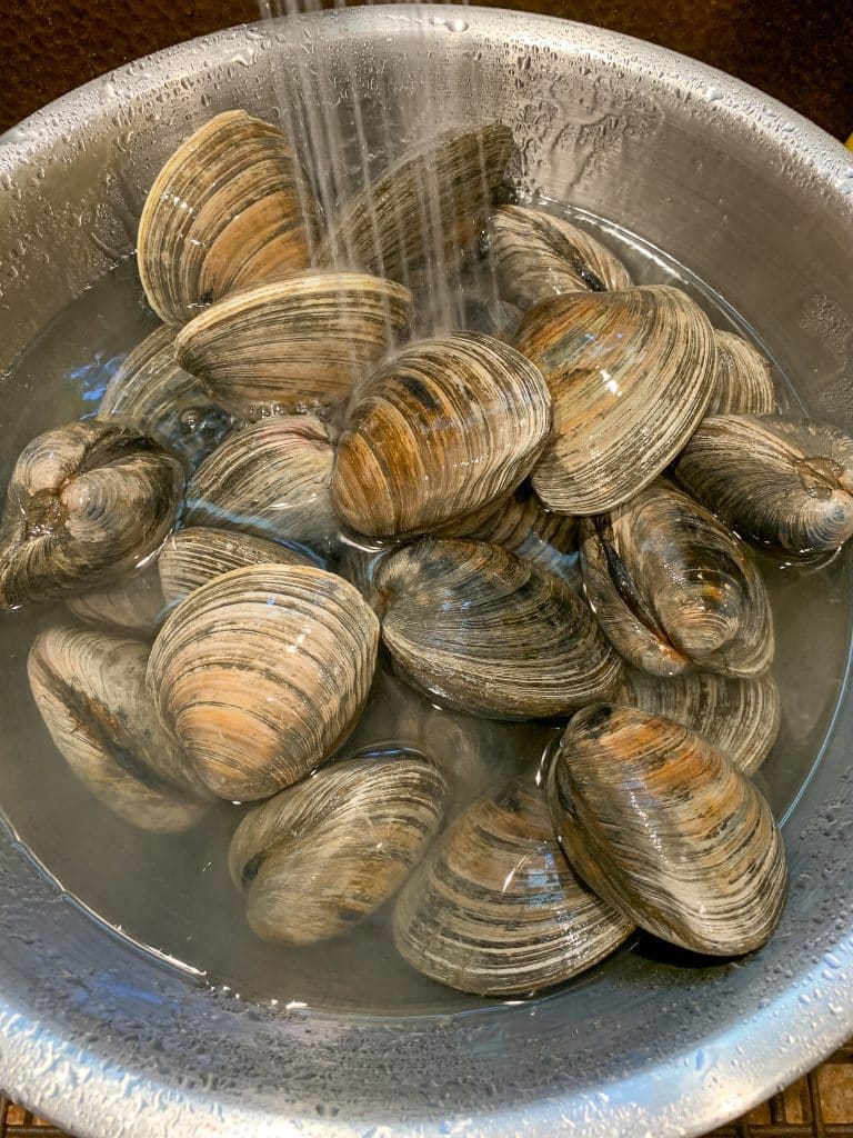 purging Cherrystone clams for jumbo clams casino